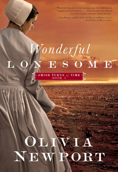 Wonderful Lonesome by Olivia Newport