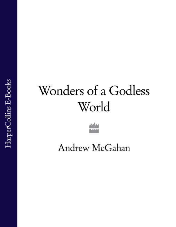 Wonders of a Godless World by Andrew McGahan