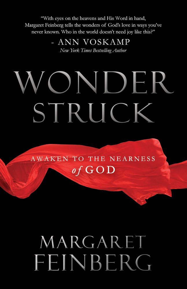 Wonderstruck by Feinberg, Margaret