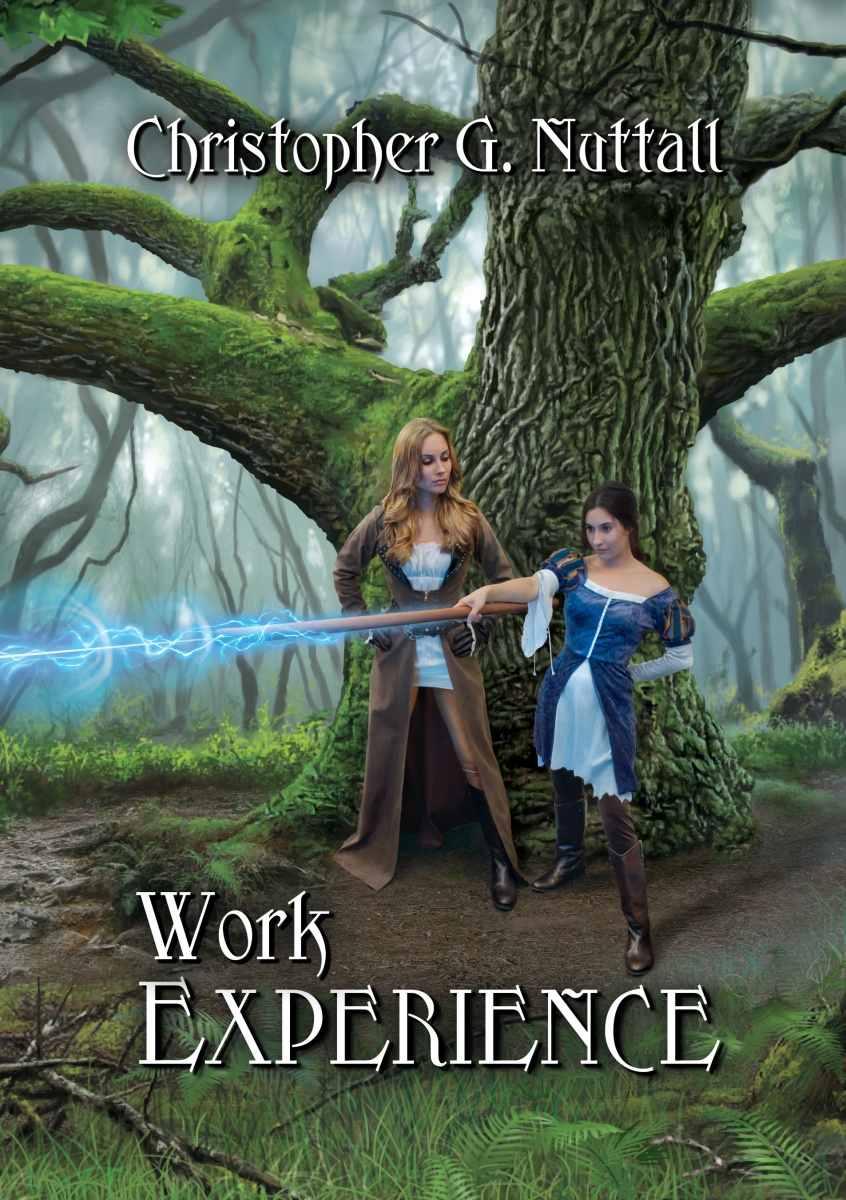 Work Experience (Schooled in Magic Book 4) by Christopher Nuttall