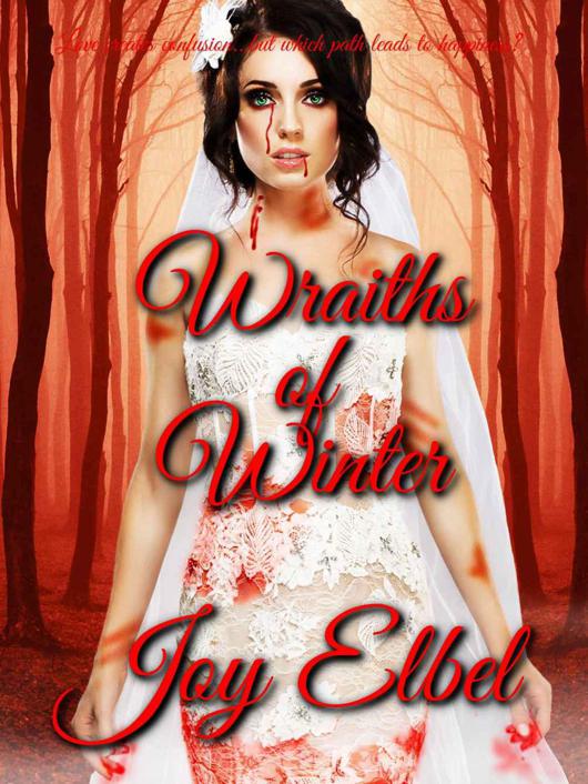 Wraiths of Winter (The Haunting Ruby Series Book 3) by Joy Elbel