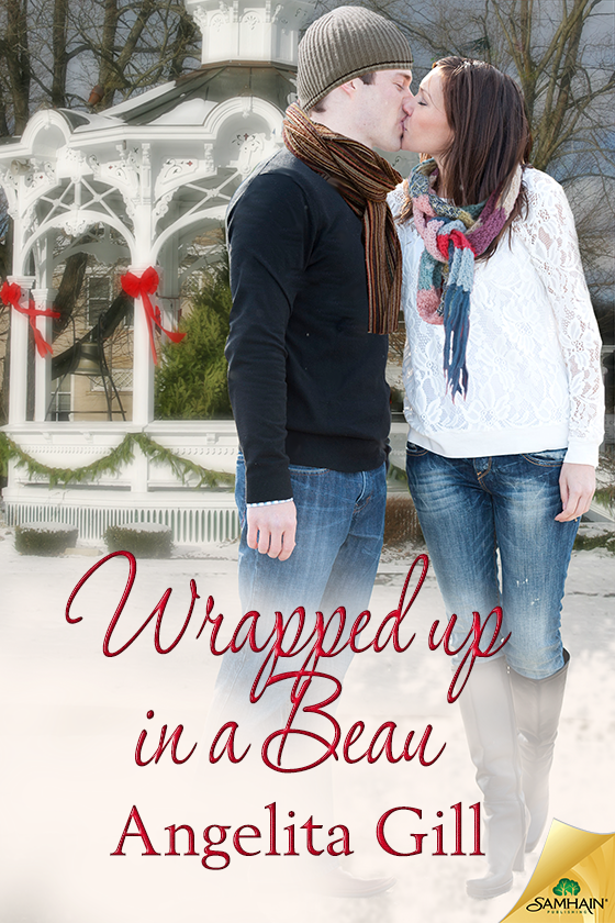 Wrapped Up in a Beau (2015) by Angelita Gill