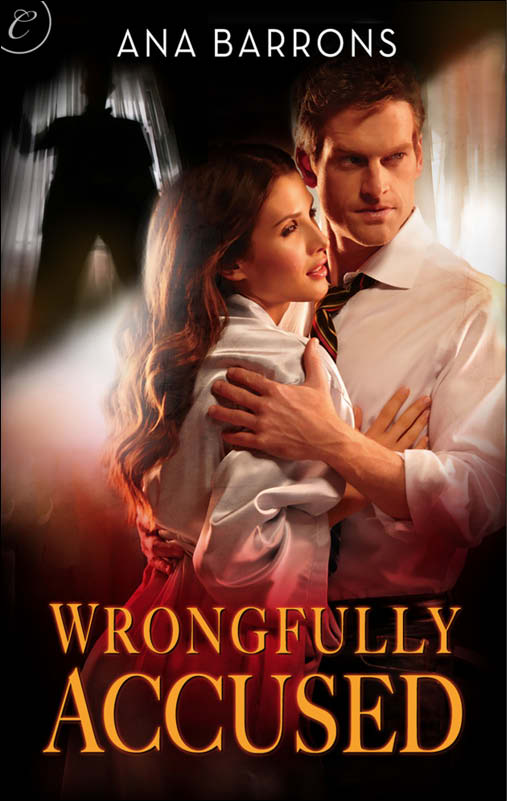 Wrongfully Accused (2012)