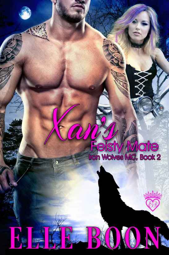 Xan's Feisty Mate by Elle Boon