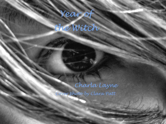 Year of the Witch by Charla Layne