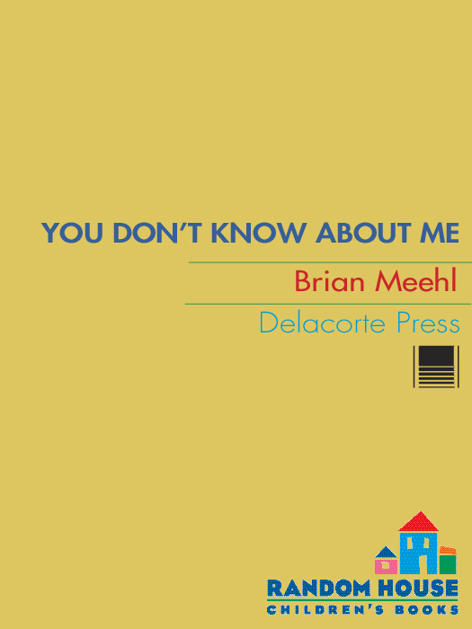 You Don't Know About Me (2011) by Brian Meehl