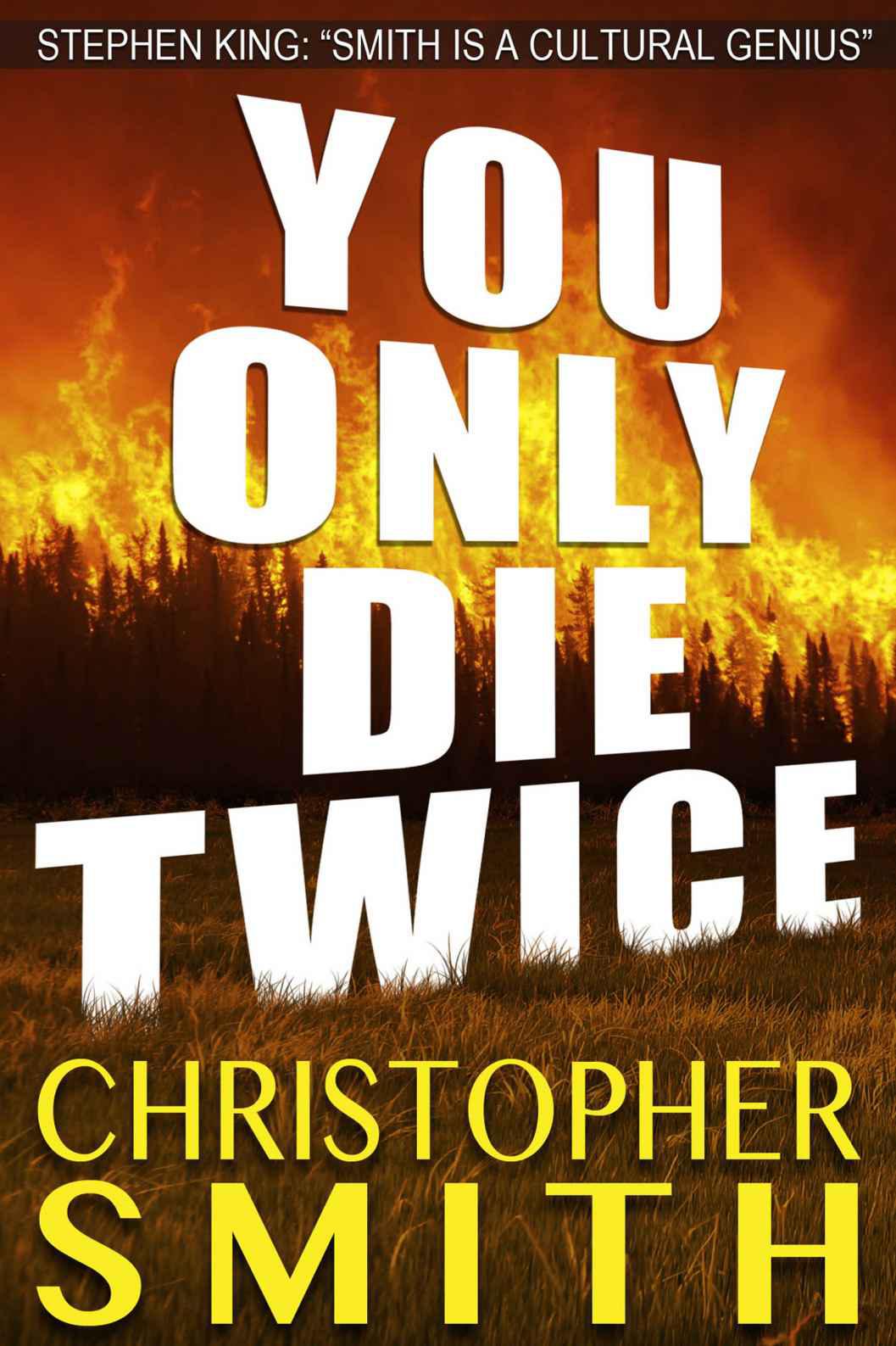 You Only Die Twice by Christopher  Smith