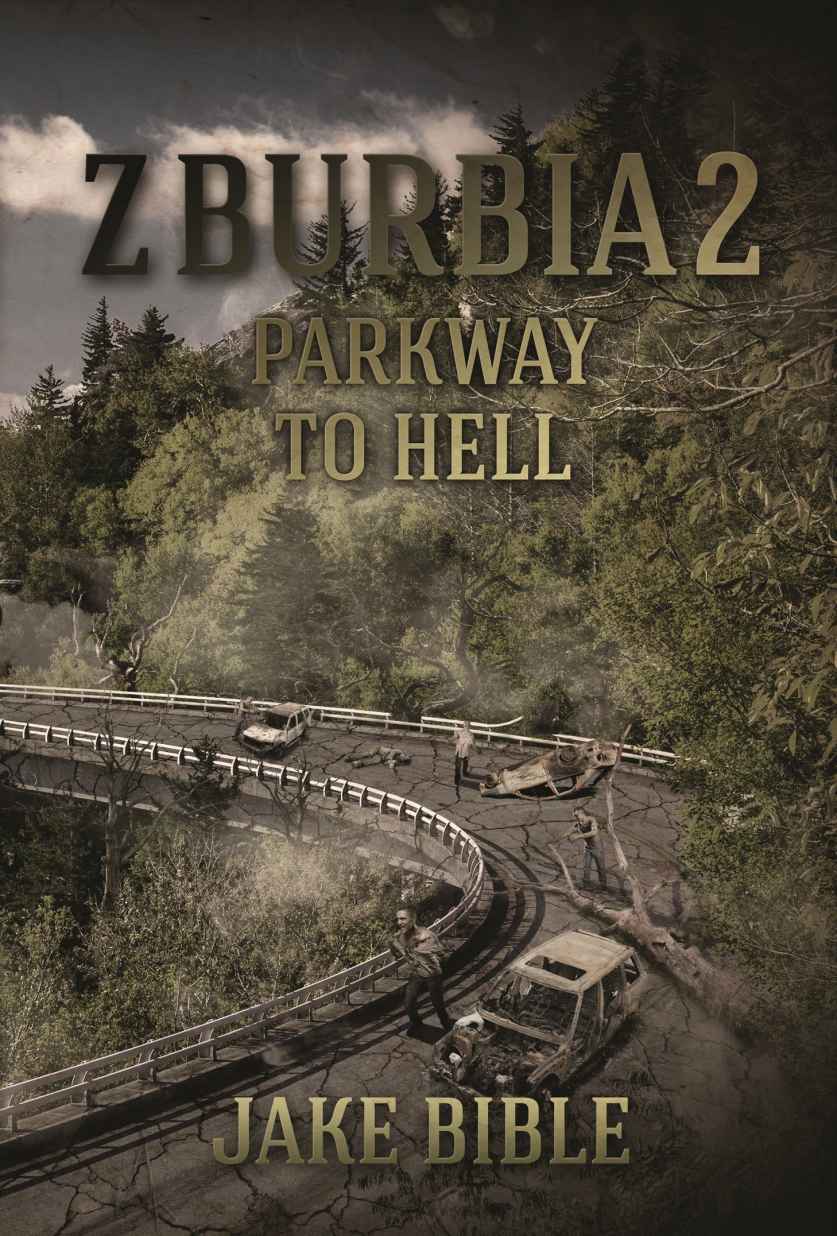 Z-Burbia 2: Parkway To Hell by Bible, Jake