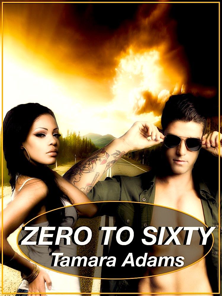 Zero To Sixty (BWWM, Sports, Billionaire) by Tamara Adams