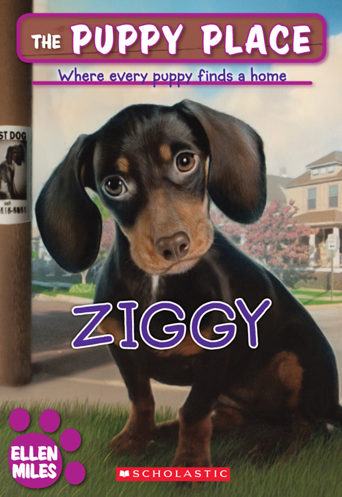 Ziggy (2010) by Ellen Miles