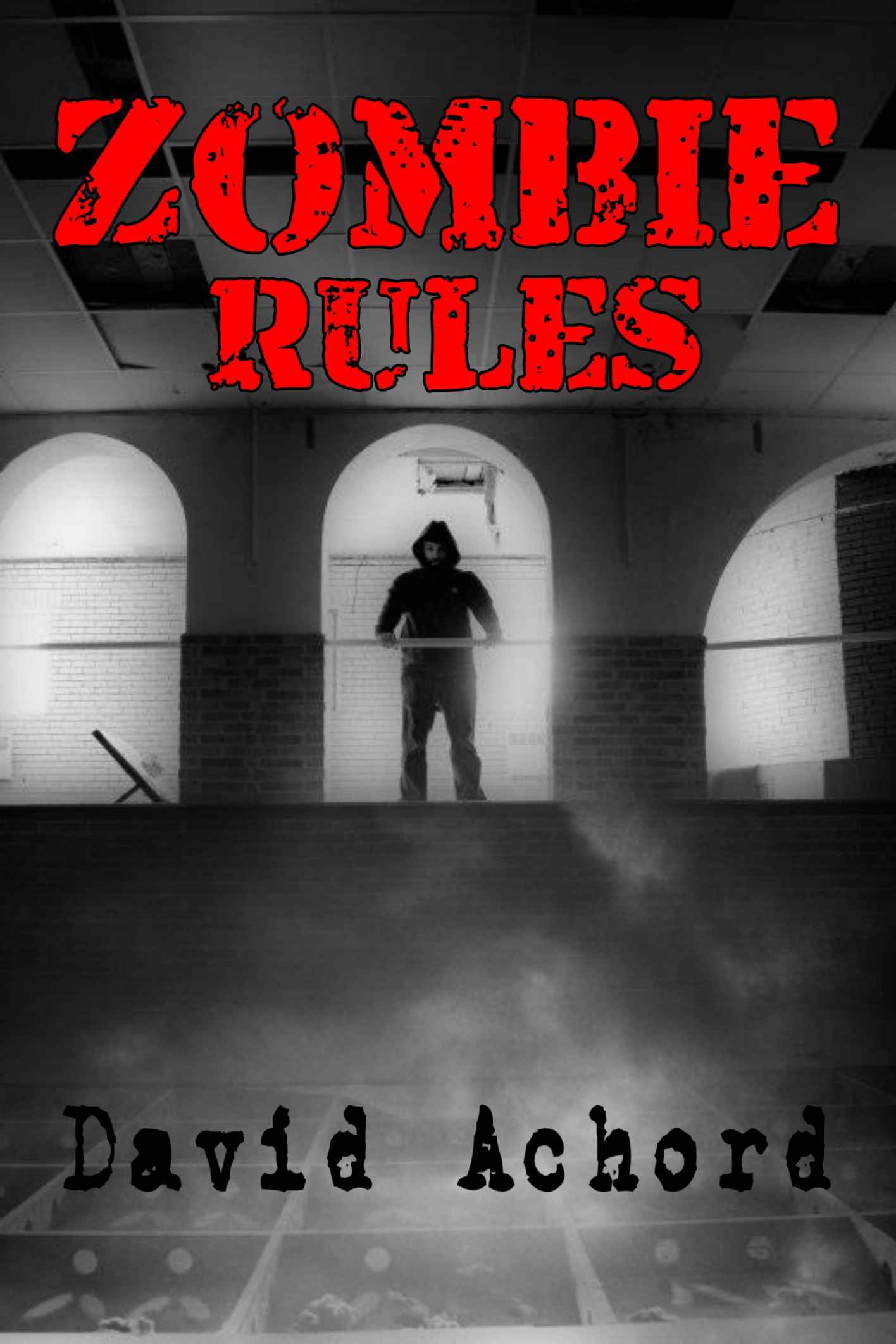 Zombie Rules by Achord, David