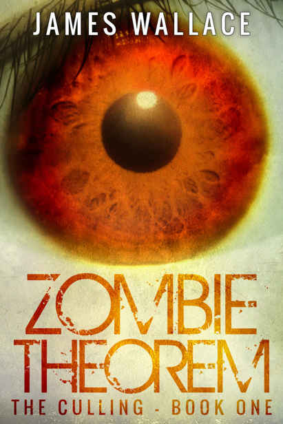 Zombie Theorem (Book 1): The Culling