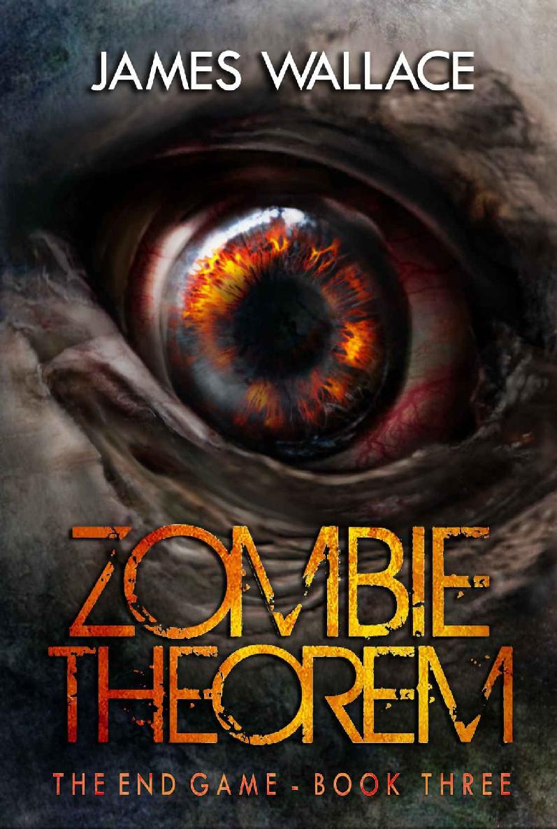 Zombie Theorem: The End Game by James Wallace