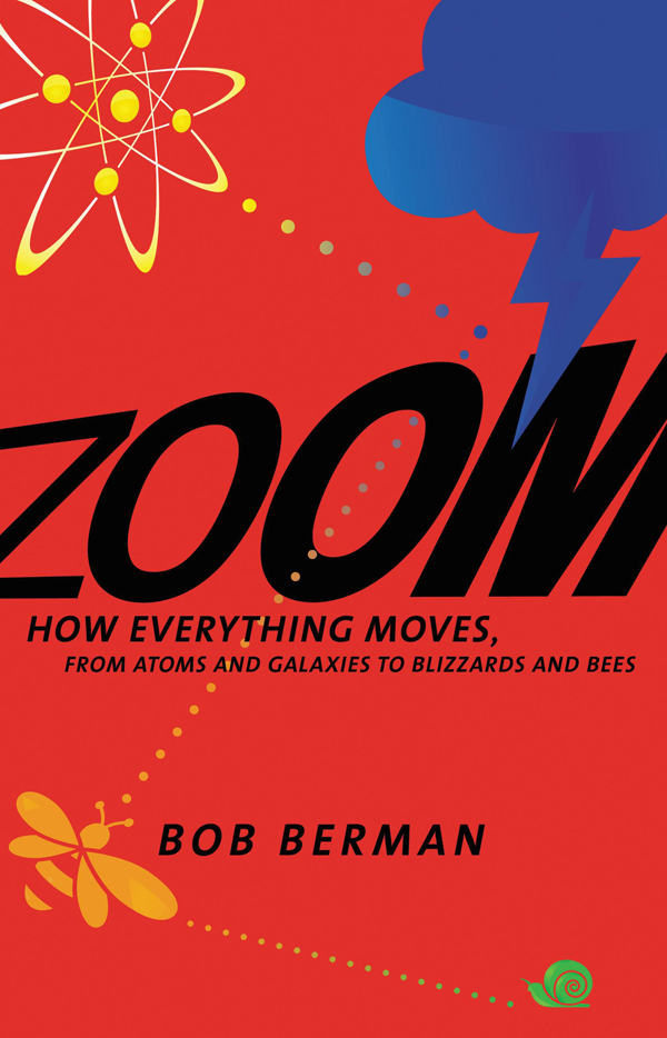 Zoom: From Atoms and Galaxies to Blizzards and Bees: How Everything Moves